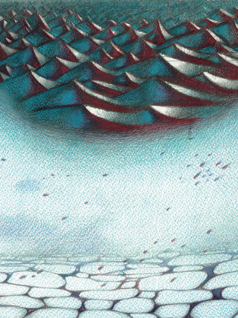 Tavola de Il gran sudario del mare (6)