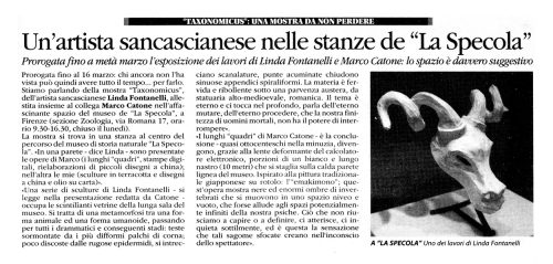 Articolo Metropoli Taxonomicus