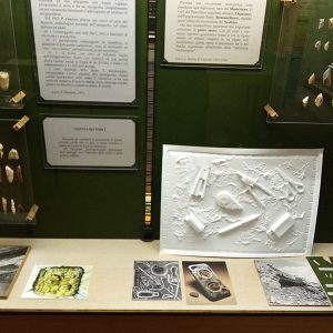 Fossili del Futuro (6)