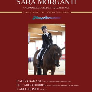 Progetto Oltrerete - 12